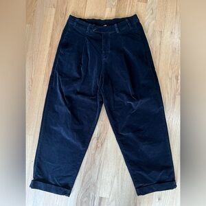 Free People Velvet Pleated Trousers Harem Pants Navy